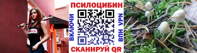 Галлюциногенные грибы Cubensis  Бор 